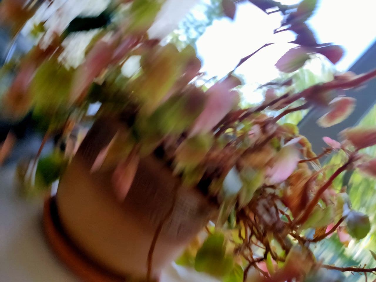 Какие снимки фотографы не отдают