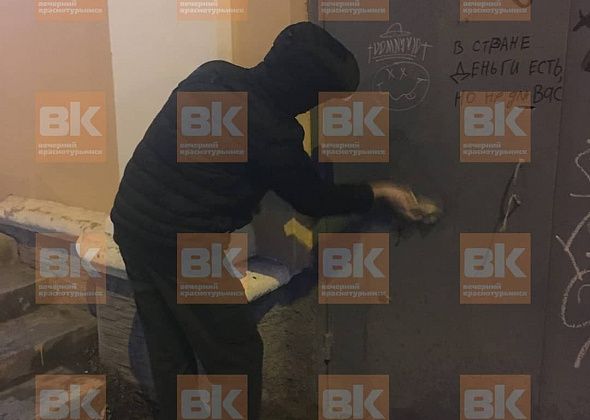 Общественное порицание вынудило подростка закрасить свои художества