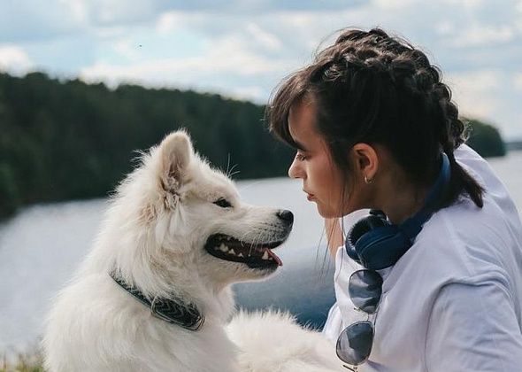 Фотосессия с собакой. Как готовиться?