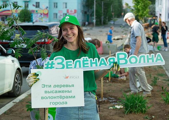 Благодаря «Зеленой волне» на улице Карла Маркса высадили рябины