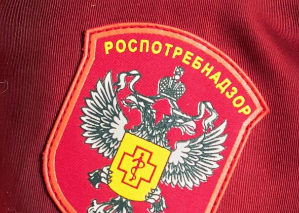 Роспотребнадзор подвел итоги детских конкурсов