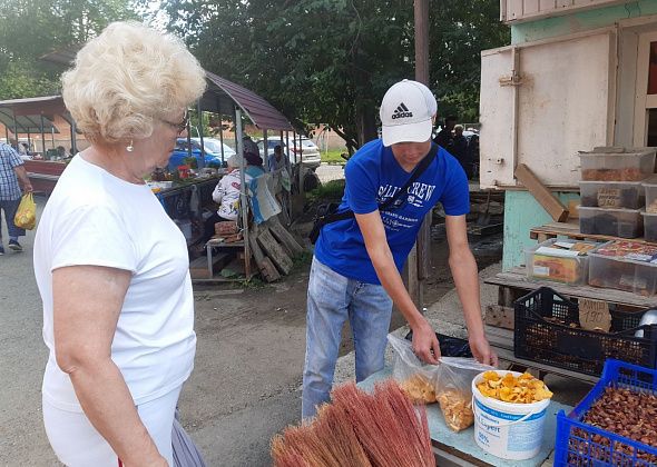 Грибной сезон в Краснотурьинске только начинается. Но помидоров и огурцов у садоводов в достатке